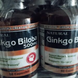 GINKGO BILOBA 500MG